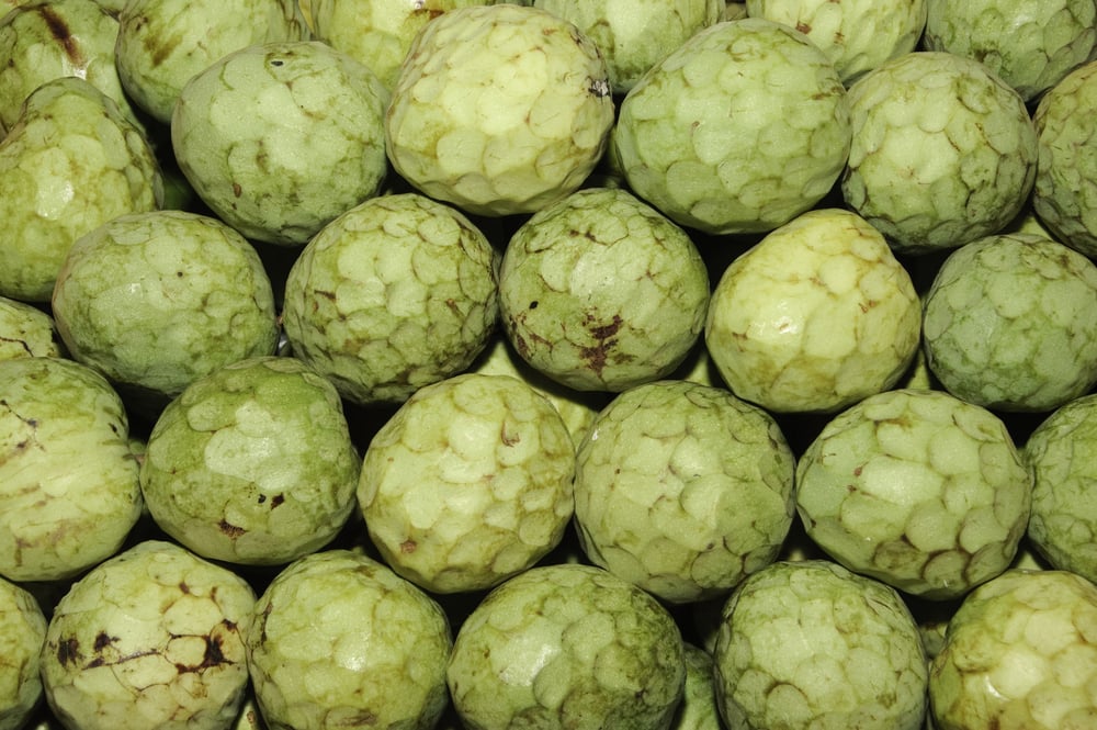 Cherimoyas