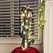 How to Decorate a Cactus For Christmas
