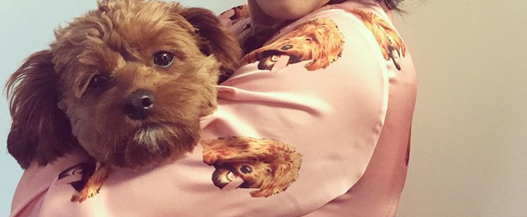Katy Perry's Dog Pajamas