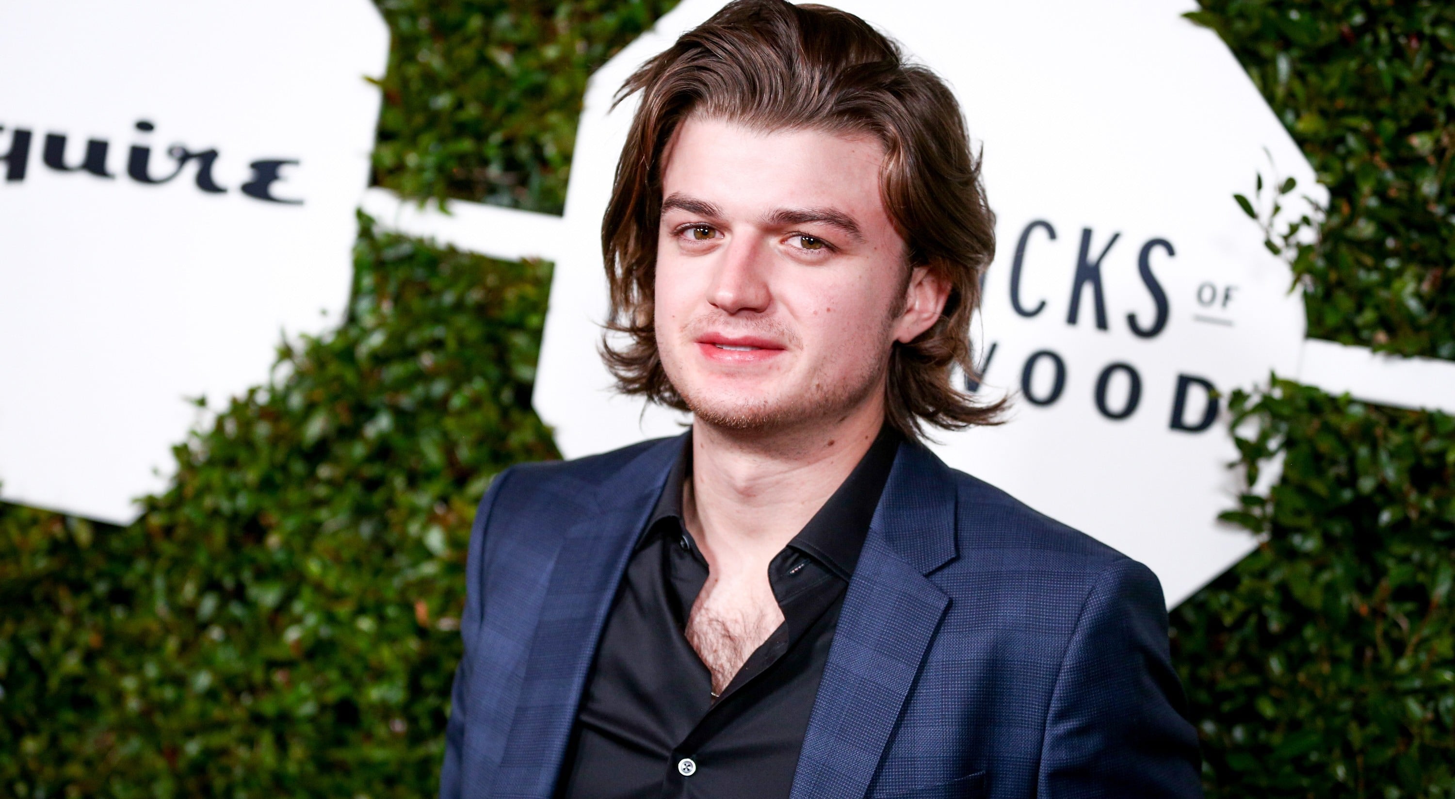 Is Joe Keery in a Band? PS Entertainment(01)
