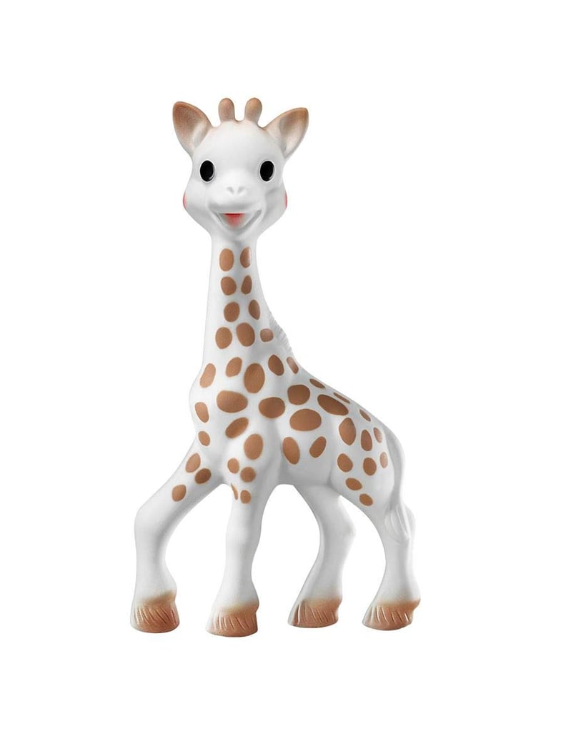 Best Teething Toy Deal