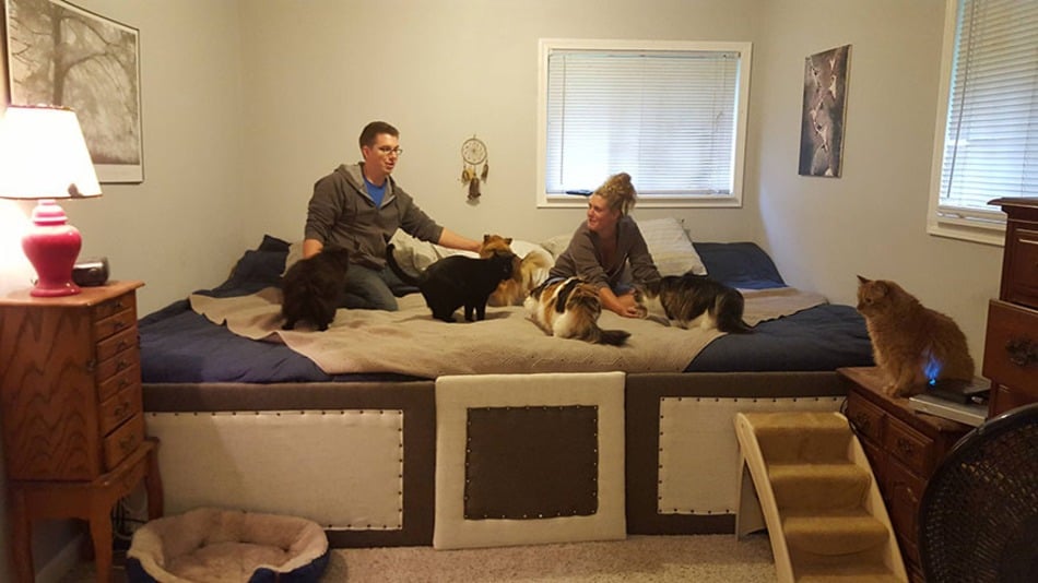 Guy Makes 11-Foot Bed Big Enough For Pets
