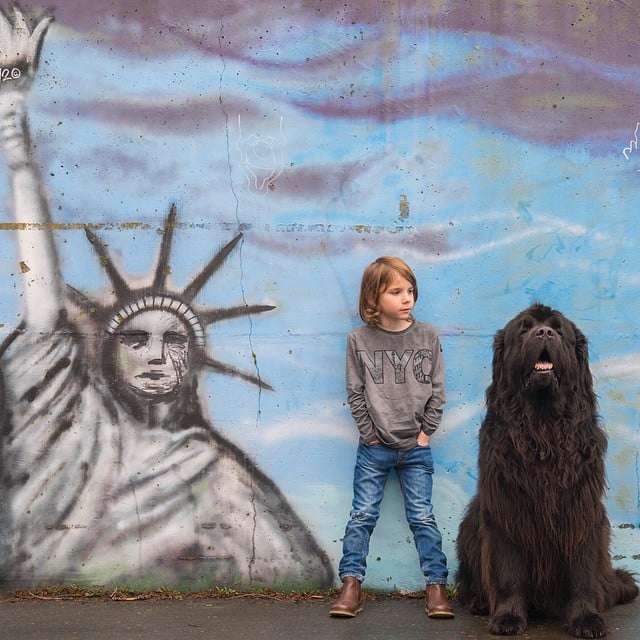 Photos of Boy With His Dogs and Horse