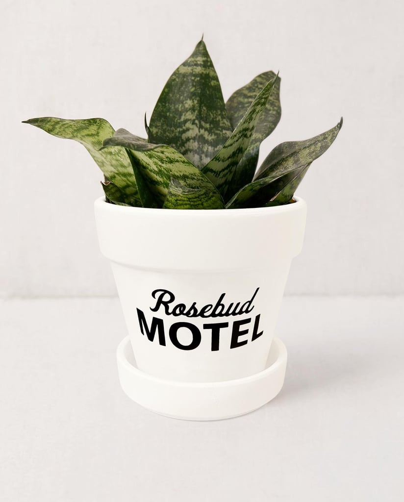 Rosebud Motel Planter