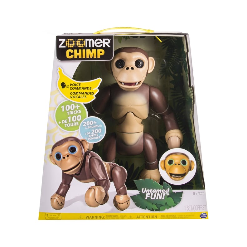 Zoomer Chimp