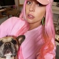 Lady Gaga Calls Her French Bulldogs Her 3 Little Piggies, and My Goodness, They're So Cute!