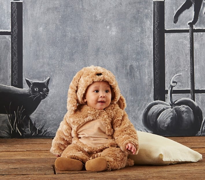 dog costume for baby