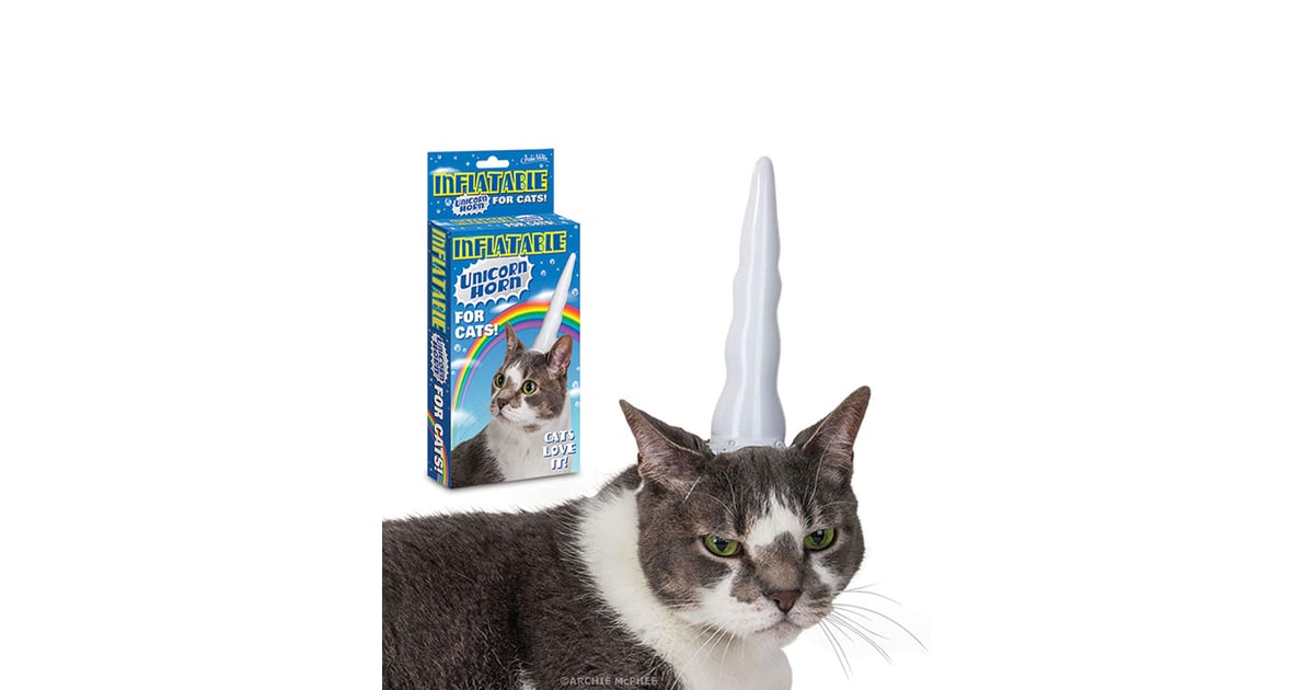 Inflatable Unicorn Horn For Cats No Time To Sit Or Stay These Pet Halloween Costumes From Target Are Just What You Need Popsugar Pets Photo 11