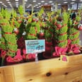 Trader Joe's Mini Grinch-Inspired Christmas Trees Grow Up to 30 Feet Tall