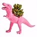 Cute Desk Planters