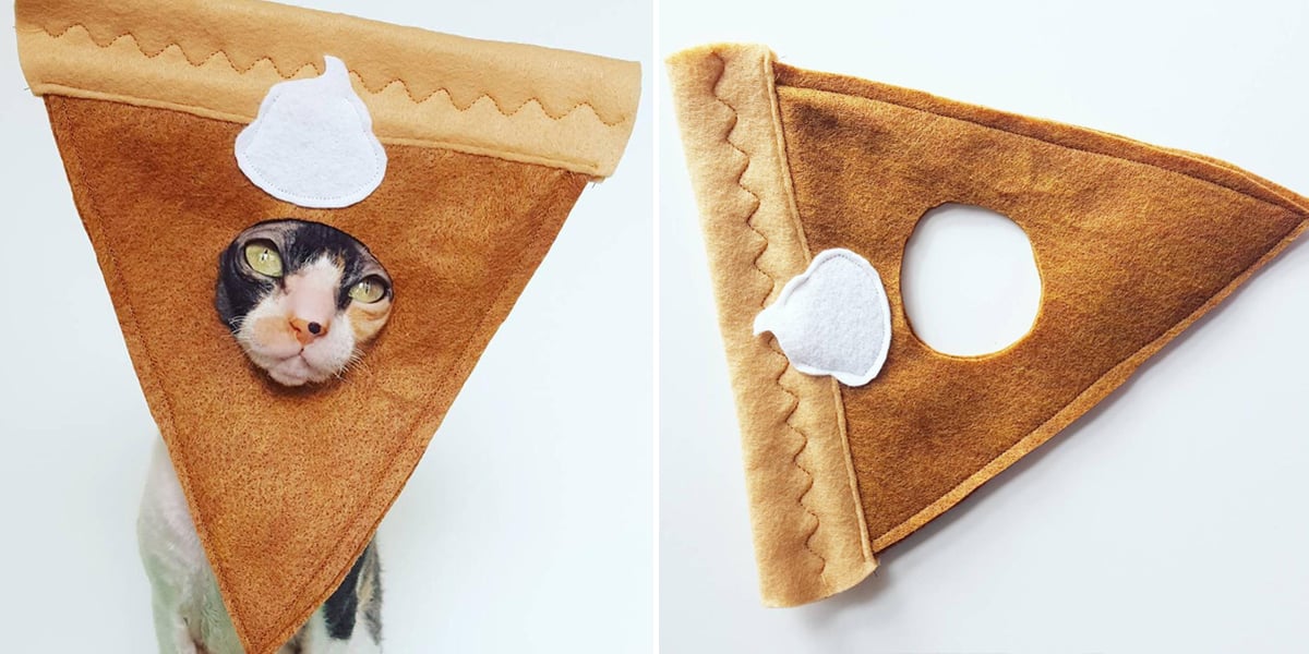 DIY Cherry Pie A La Mode Costume