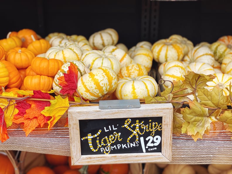 Lil' Tiger Stripe Pumpkins at Trader Joe's