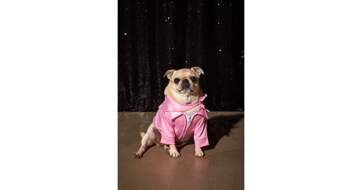 pink ladies dog jacket