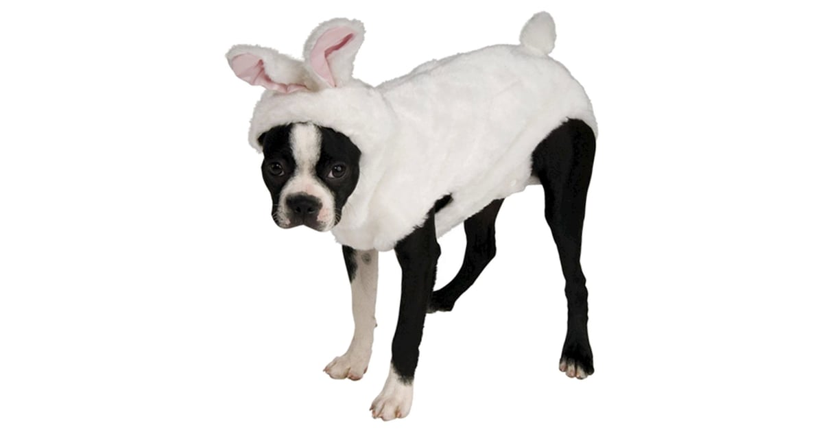 Bunny Dog Costume Best Target Pet Halloween Costumes POPSUGAR UK