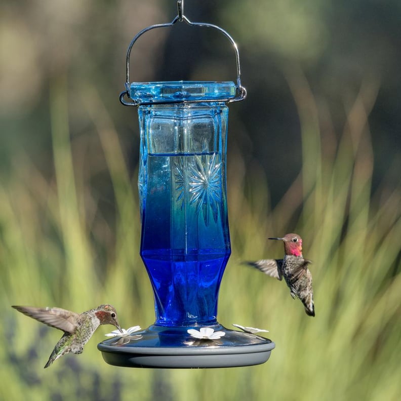 A Blue Feeder: Perky-Pet Sapphire Starburst Decorative Glass Hummingbird Feeder