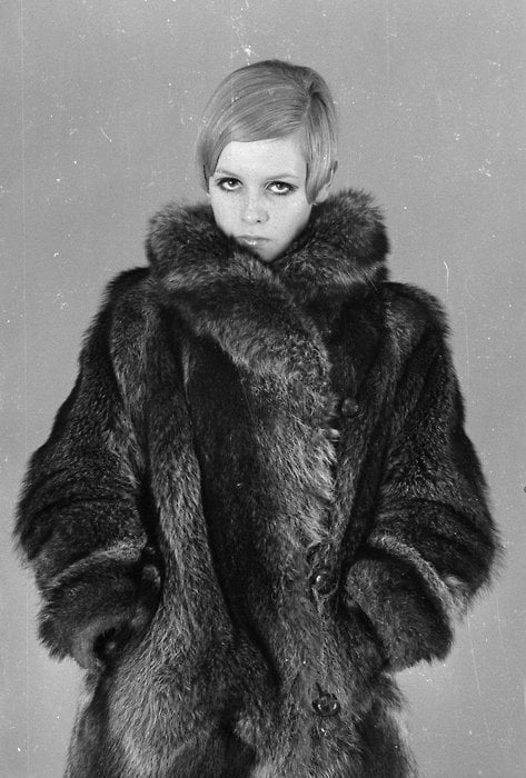 Twiggy