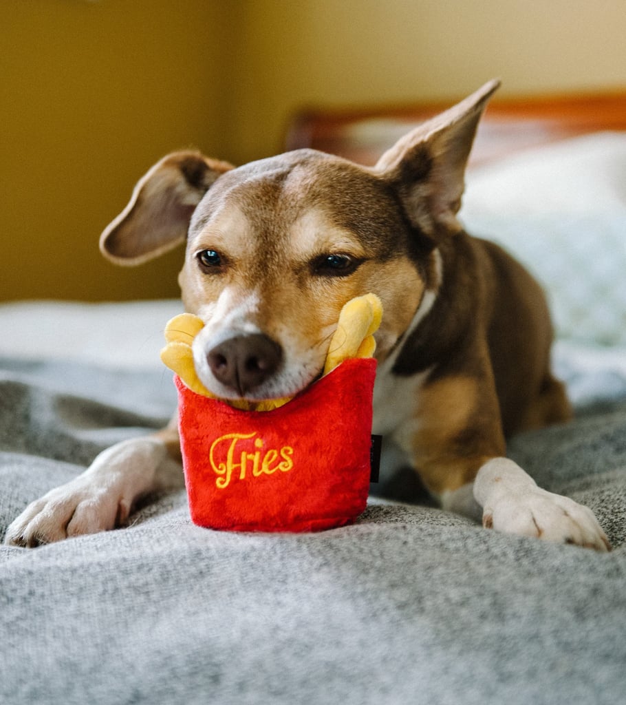 Best Pet Products From Nordstrom POPSUGAR Pets