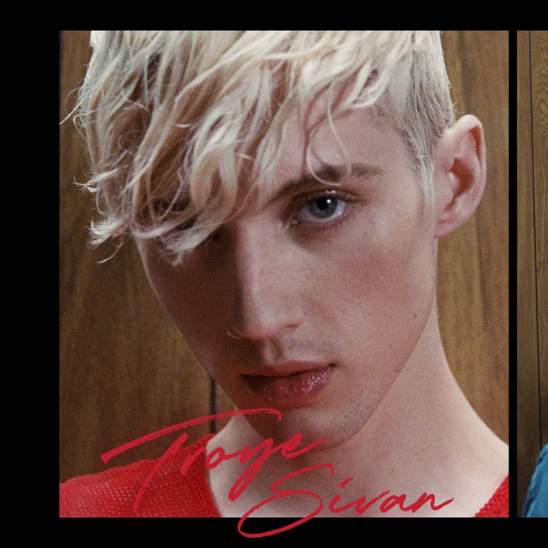 Troye Sivan For MAC Viva Glam