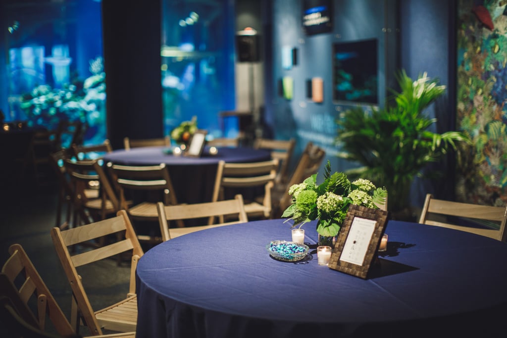 Aquarium Wedding Ideas