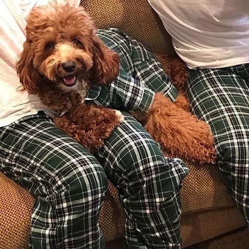 Green Plaid Matching Human PJs