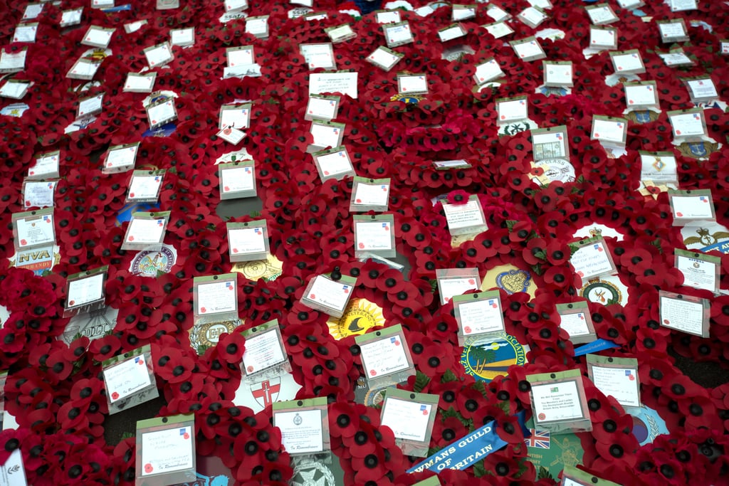 Prince Harry and Prince William on Remembrance Day 2015