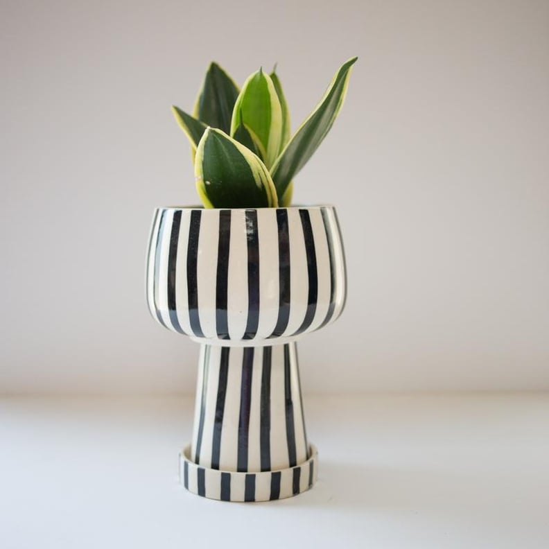 Jungalow Kaya 3-Piece Ceramic Planter by Justina Blakeney