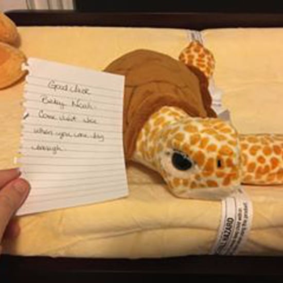 Stranger Gives Parents of Premature Baby a Stuffed Turtle