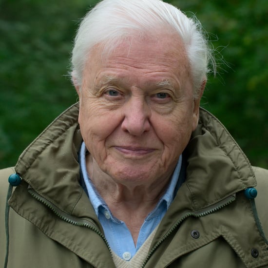 David Attenborough's Best Advice For Sustainable Living