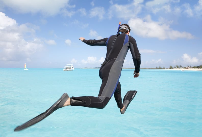 Dolphins — Turks and Caicos