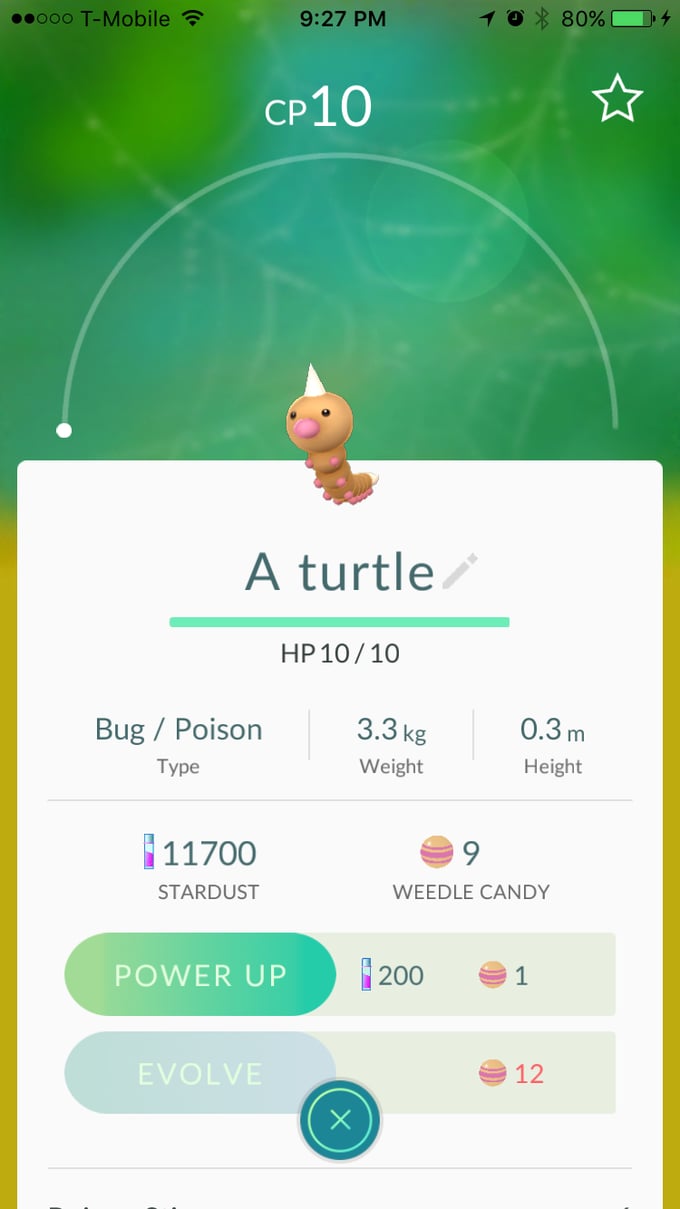 Weedle aka "A turtle"