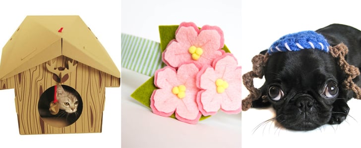 The Best Pet Products For March