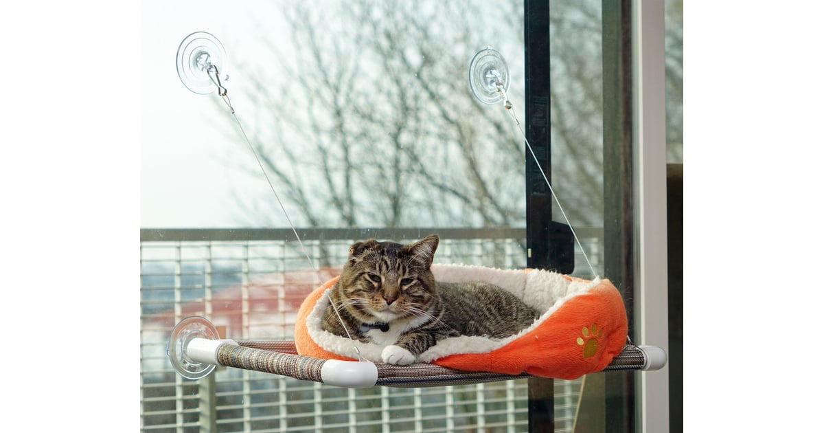 Kitty Cot Original World's Best Cat Perch | Best Cat Beds ...