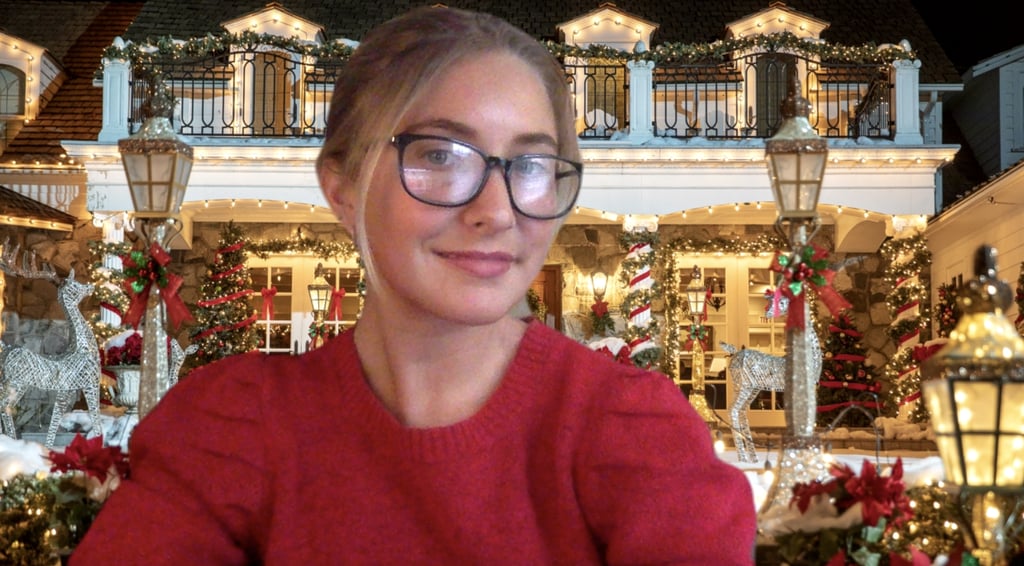 funny christmas zoom video background