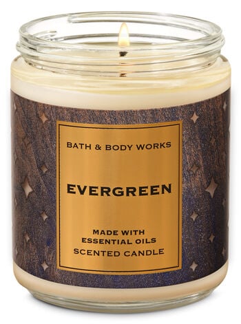 Bath & Body Works Evergreen Single Wick Candle