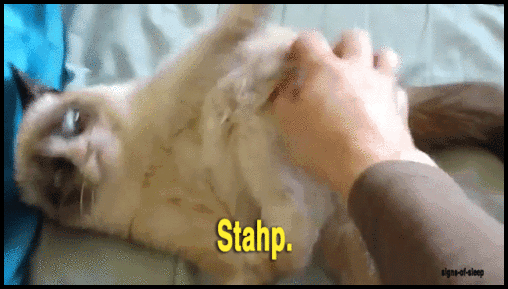 JUST-STAHP-OK-Grumpy-Cat.gif