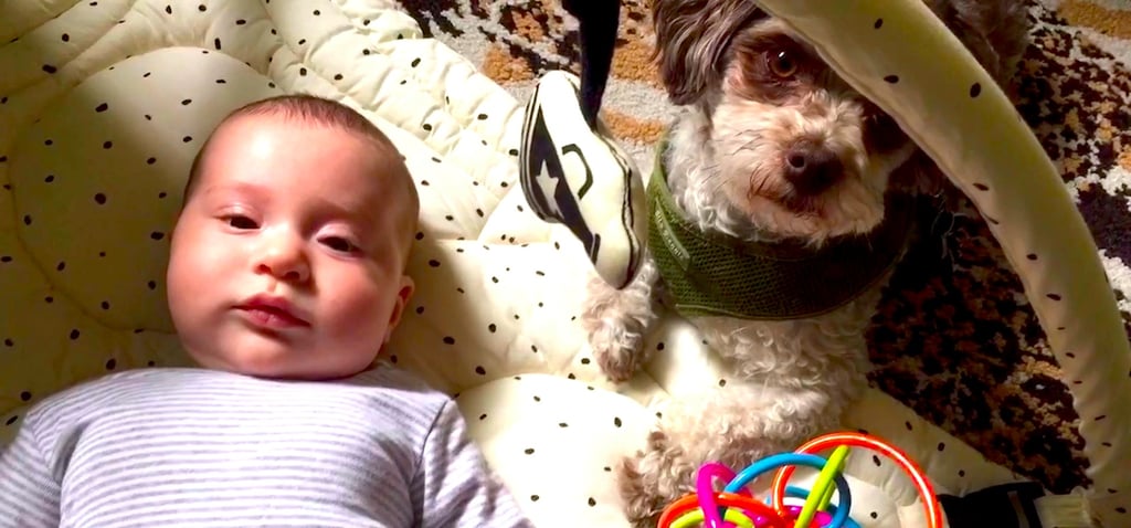 Secrets About Being a New Mom