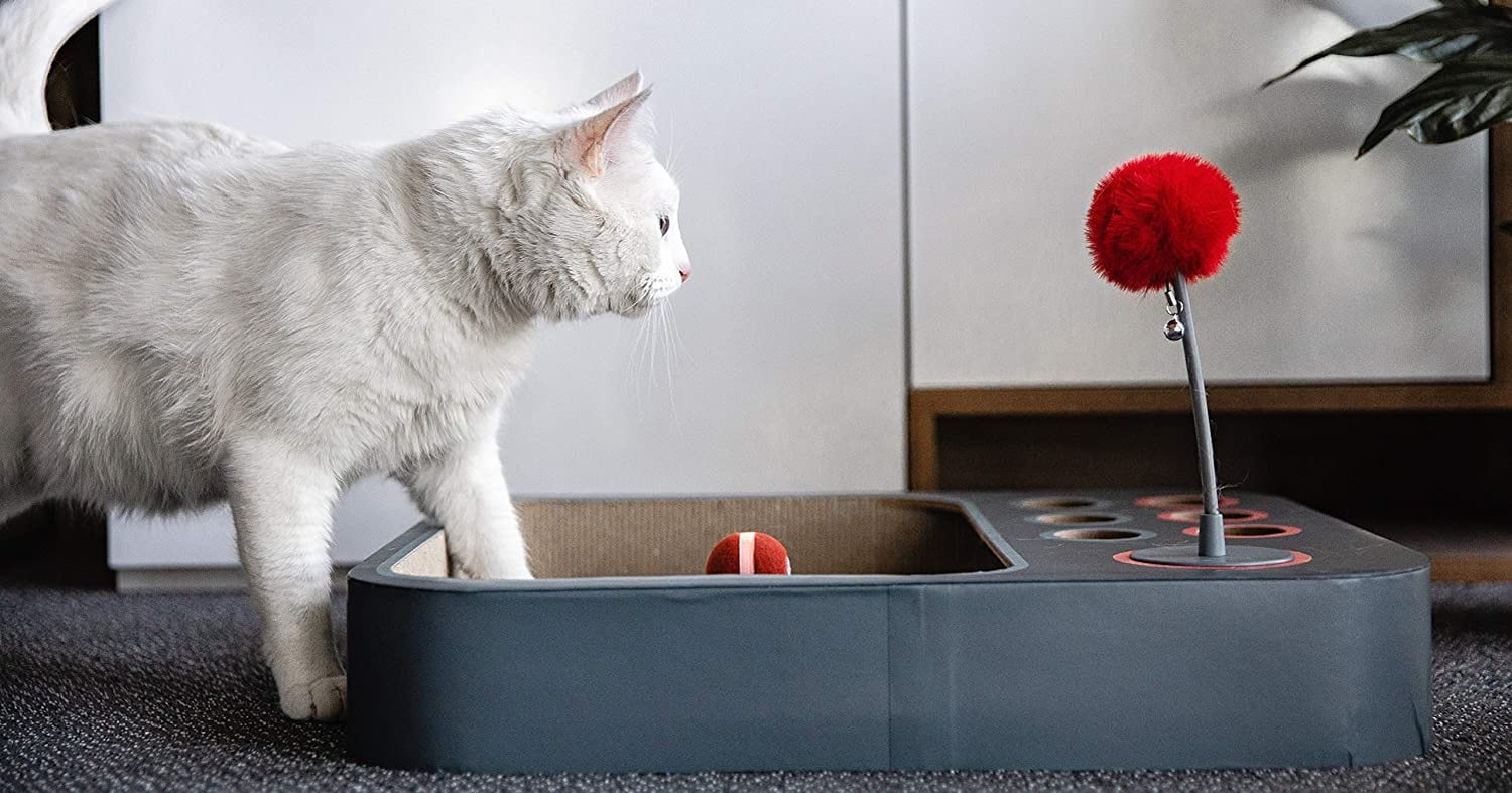 Best Pets Products on Amazon Launchpad POPSUGAR Smart Living