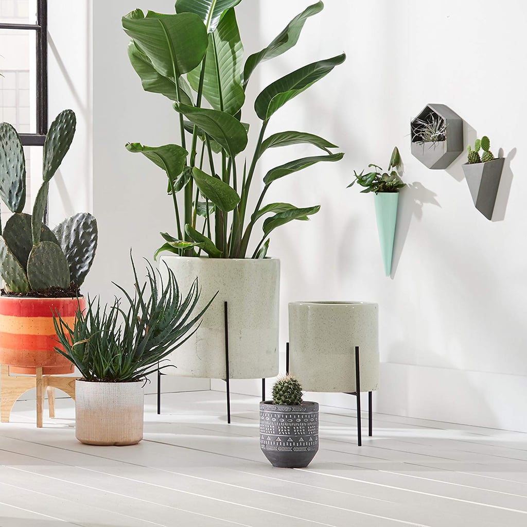 Rivet Mid Century Modern Ceramic Indoor Outdoor Planter Flower Pot 