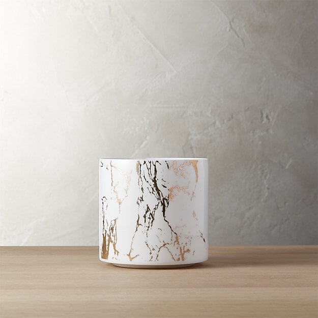 Cute Desk Planters POPSUGAR Smart Living