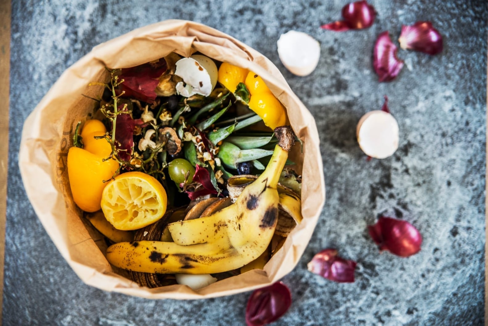How to Compost at Home | PS Food