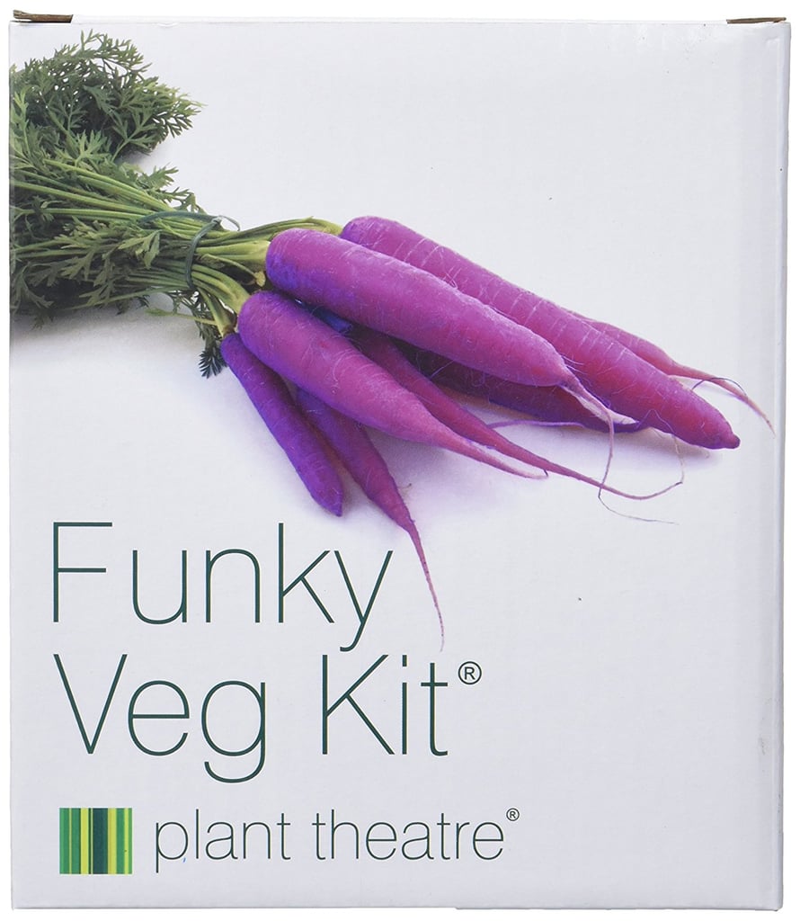 Vegetable Growing Kit