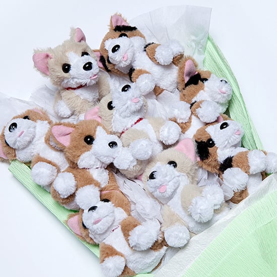 Stuffed Animal Bouquets
