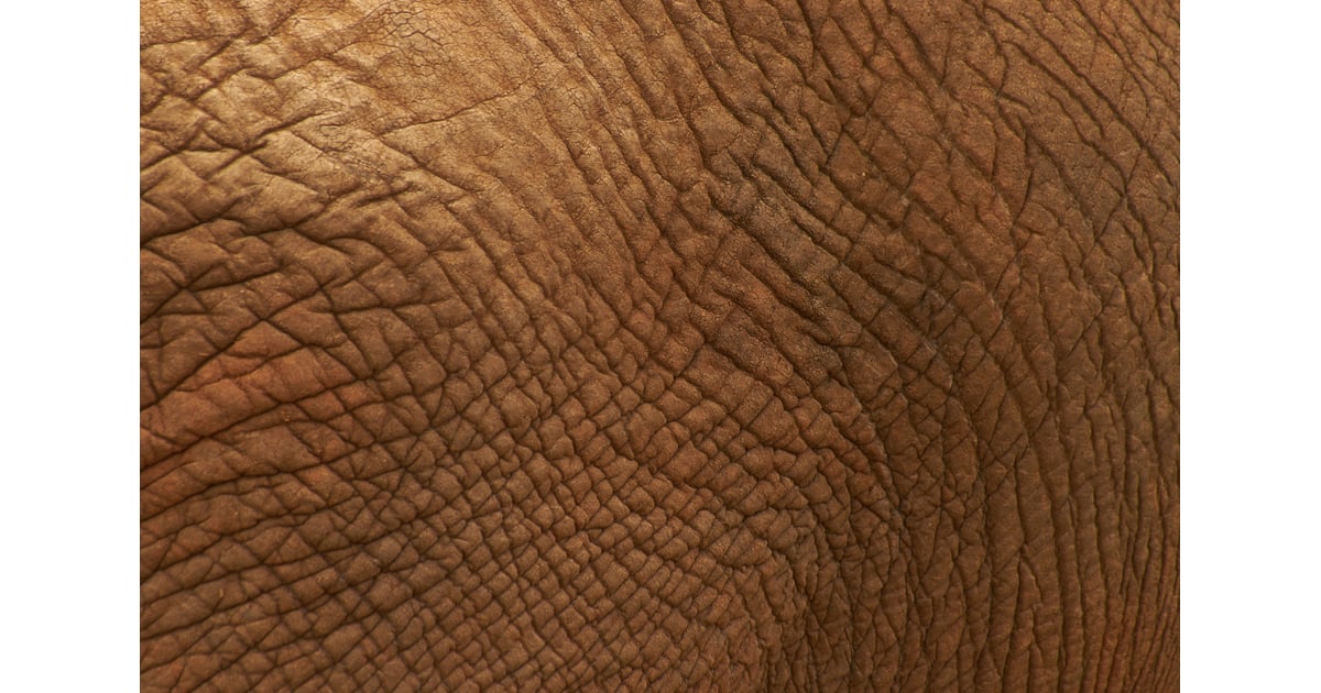 Truth 2 It Will Dry Out Your Skin . . . Eventually Is Coconut Oil