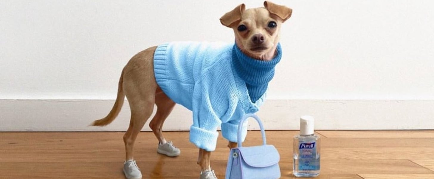 Wfhfits Instagram Account Shares At Home Work Outfits Popsugar