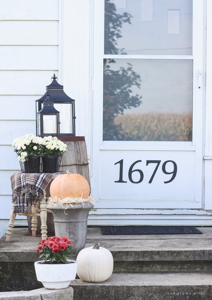 Curb Appeal Can Reveal Everything