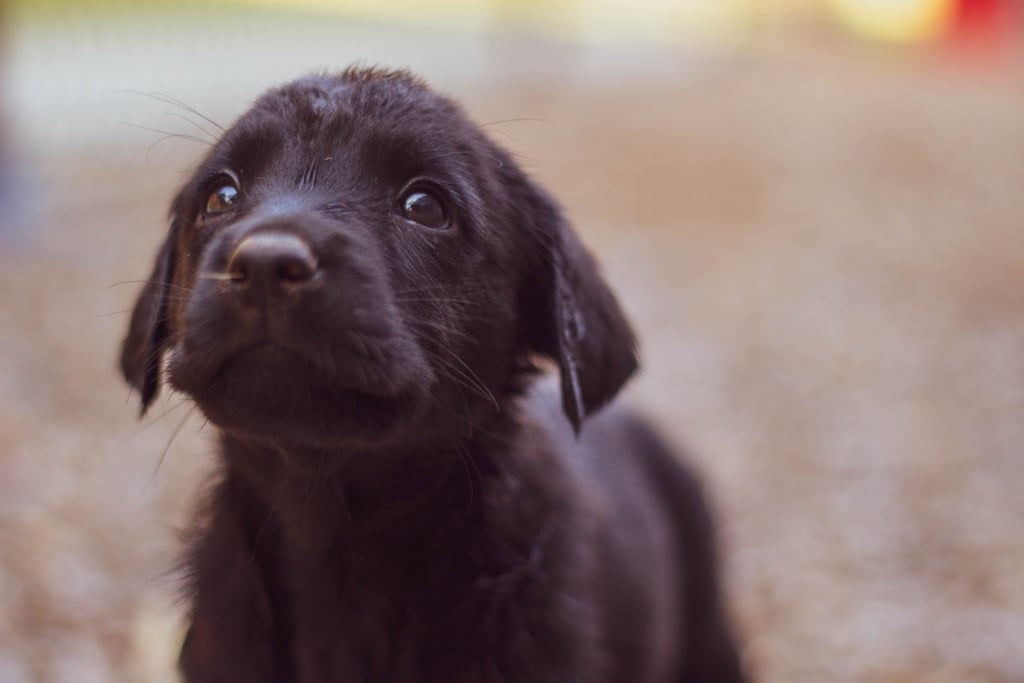 Good Girl Names