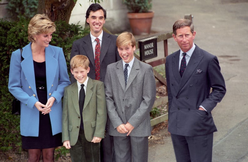 国王查尔斯,戴安娜王妃在1995年威廉王子和哈里王子
