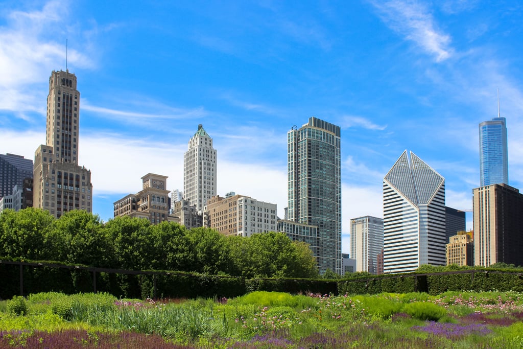In addition to joining a free customized tour, I also recommend taking some time to simply walk around downtown. Here, you'll have the chance to feast your eyes on the incredible skyline while also gazing upon the sparkling waterfront. 
And if leisurely strolls are your cup of tea and you're seeking to reconnect with nature, don't miss these free walking maps created by the Chicago Botanic Garden and North Shore University Health System. It is with these seasonal maps that you can find special paths in the Garden allowing you to engage with nature and embrace its unique beauty.