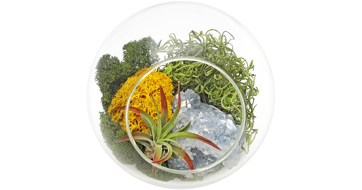 Zen Gem Terrarium Healing Crystals Shopping Guide POPSUGAR Fitness