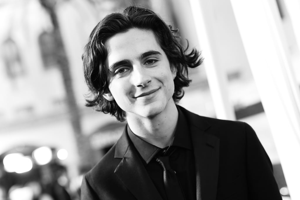 Hot Timothée Chalamet Pictures